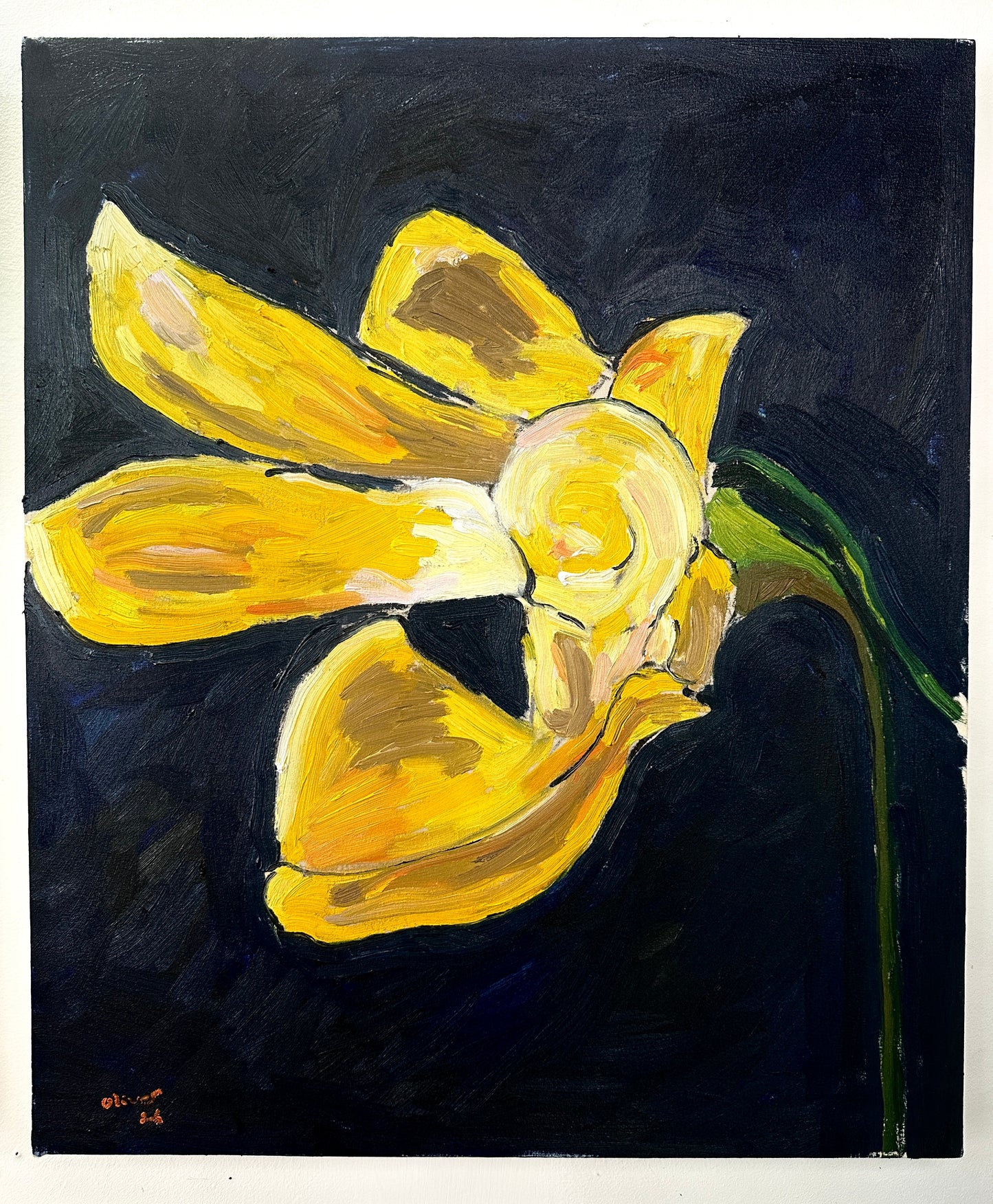 Orchids, No. 4
