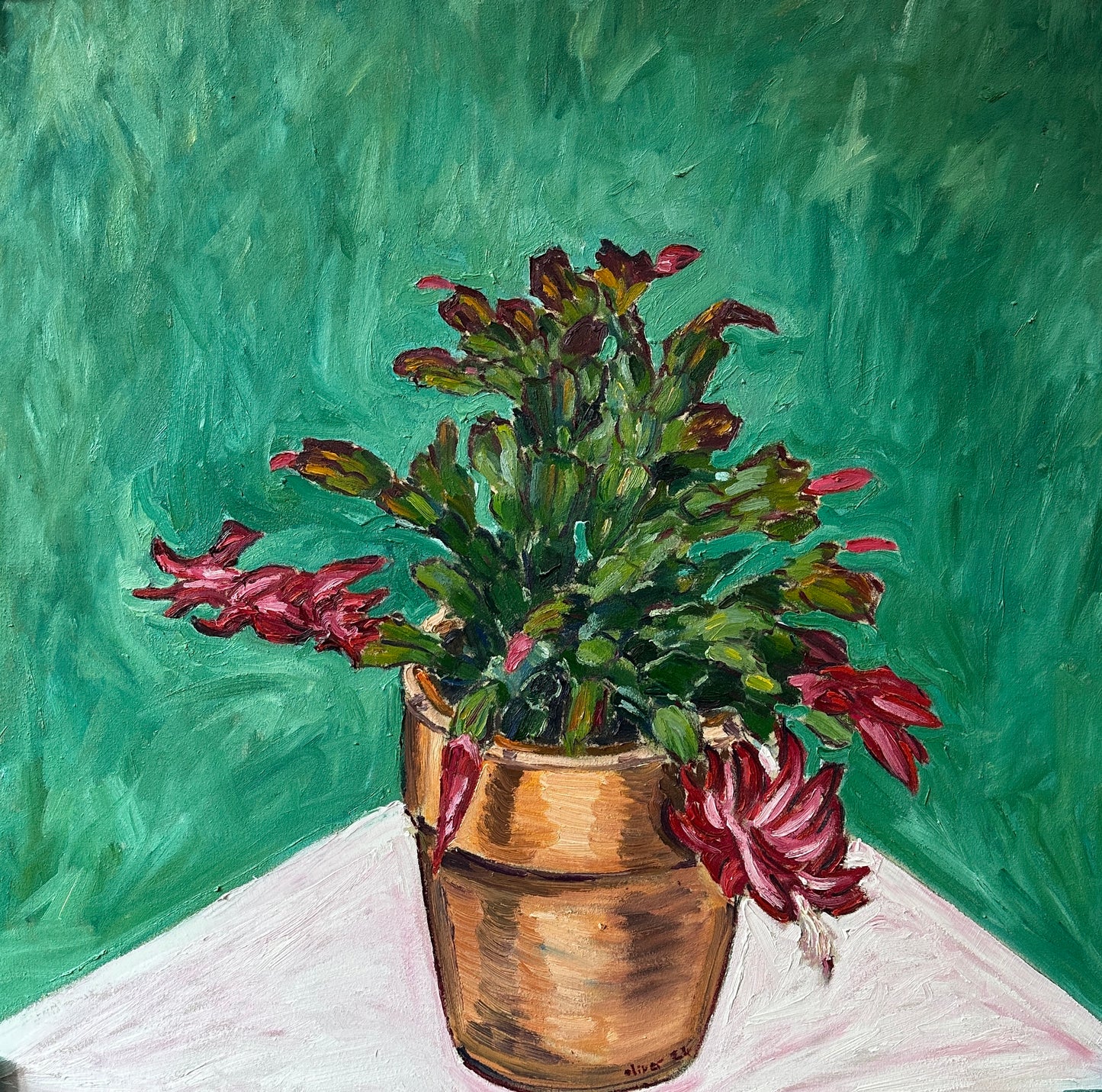 A Christmas Cactus is for Life, Not Just for Christmas