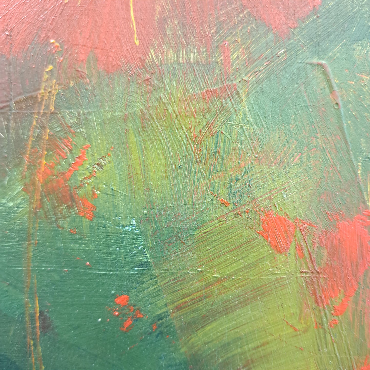 Poppies 1