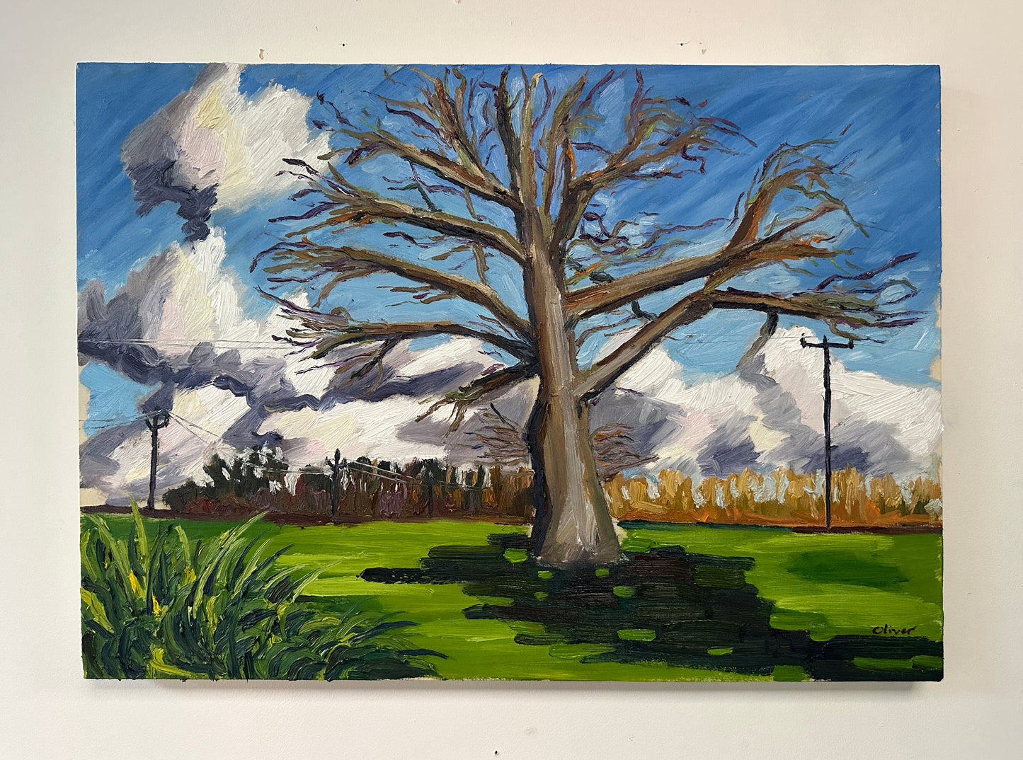 The Winter Tree