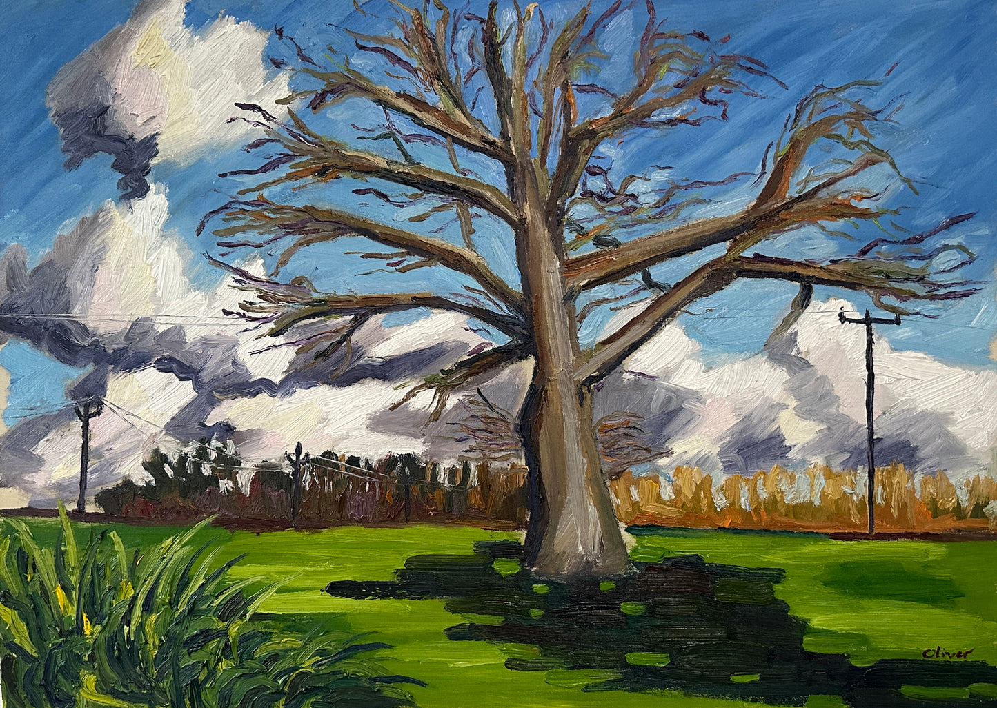 The Winter Tree